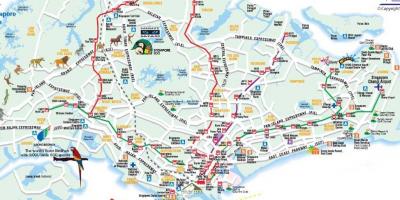 Cestni zemljevid Singapur