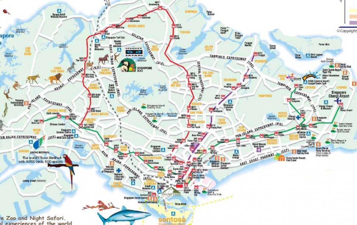 cestni zemljevid Singapur